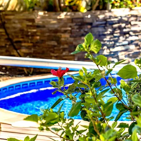 Villa Madronal Jelena